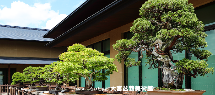大宮盆栽美術館
