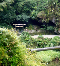 隅におけない《大隅半島》。