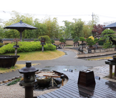 「大宮盆栽美術館見学会」を開催しました