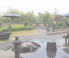 「大宮盆栽美術館見学会」を開催しました