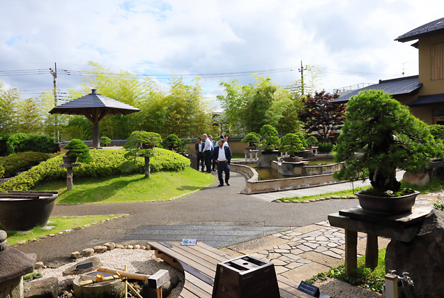 ｢大宮盆栽美術館見学会」を開催しました