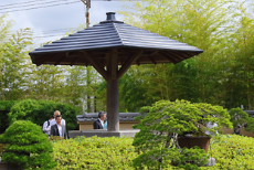 「大宮盆栽美術館見学会」を開催しました