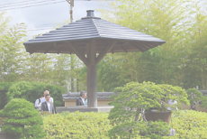 「大宮盆栽美術館見学会」を開催しました