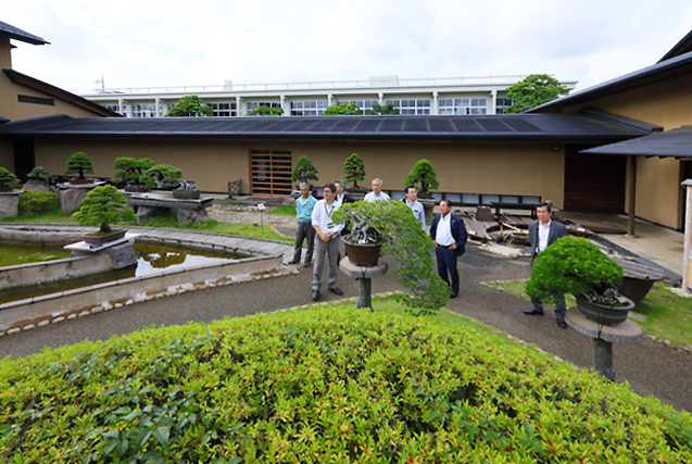 ｢大宮盆栽美術館見学会」を開催しました