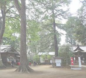 氷川女體神社