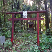 山神様を祀った祠と鳥居