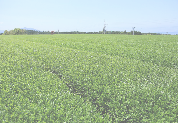 埼玉から故郷を応援するユニークな企業「光陽オリエントジャパン株式会社」