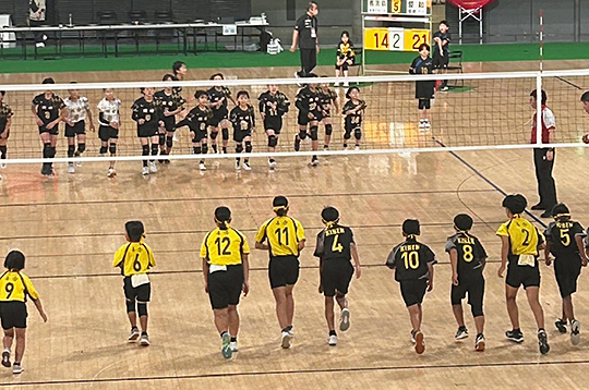 全日本バレーボール小学生大会