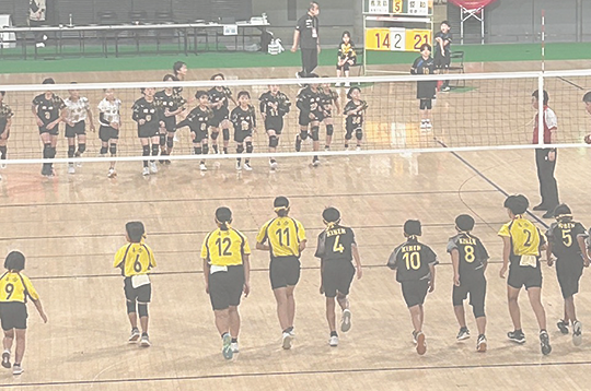 全日本バレーボール小学生大会