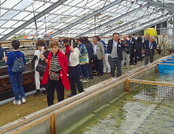 「島のタカラ」を見学