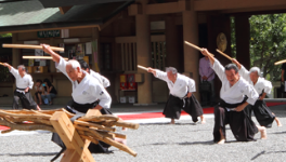 薬丸野太刀自顕流の演武を見学しました!