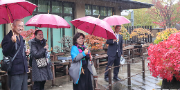 「大宮盆栽美術館見学会」を開催しました。