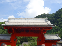 ふるさと交流の旅～鹿児島市・いちき串木野市で地元の皆さんと交流～