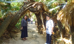 ふるさと交流の旅 in 沖永良部島・徳之島