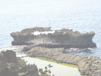 ふるさと交流の旅 in 沖永良部島・徳之島