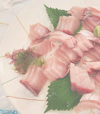 ふるさと交流の旅 ~出水市・阿久根市・長島町・薩摩川内市・甑島~