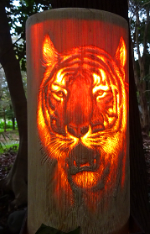 ふるさと交流の旅 ~出水市・阿久根市・長島町・薩摩川内市・甑島~