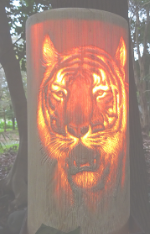 ふるさと交流の旅 ~出水市・阿久根市・長島町・薩摩川内市・甑島~