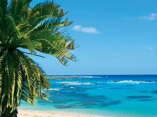 ふるさと交流の旅 in 奄美大島