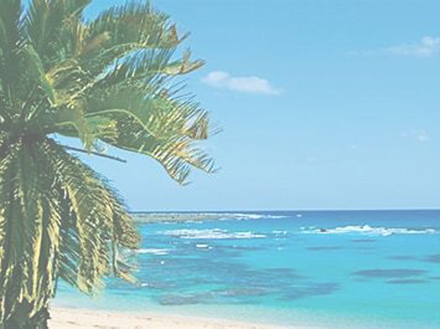 ふるさと交流の旅 in 奄美大島