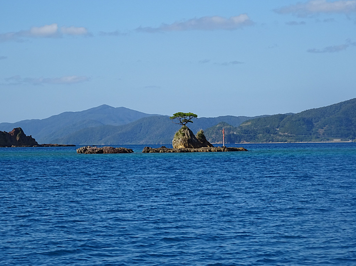 ふるさと交流の旅 in 奄美大島