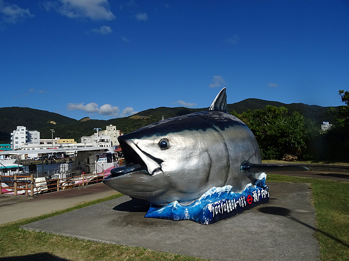 ふるさと交流の旅 in 奄美大島