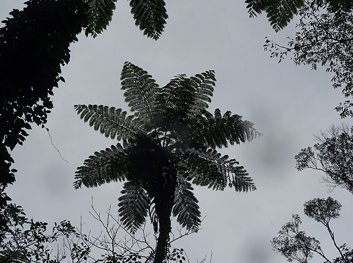 ふるさと交流の旅 in 奄美大島