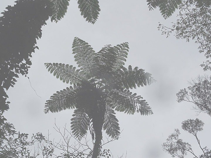 ふるさと交流の旅 in 奄美大島