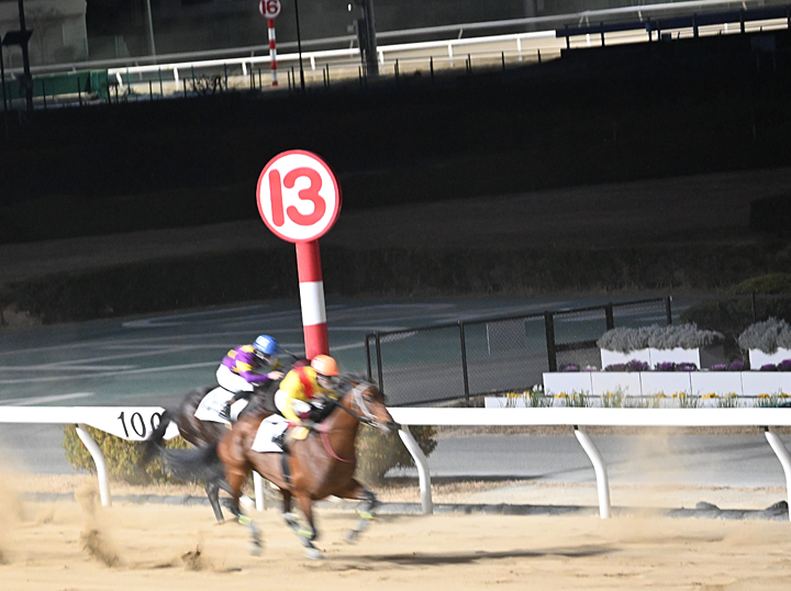 安納芋 焼き芋チャリティー販売会