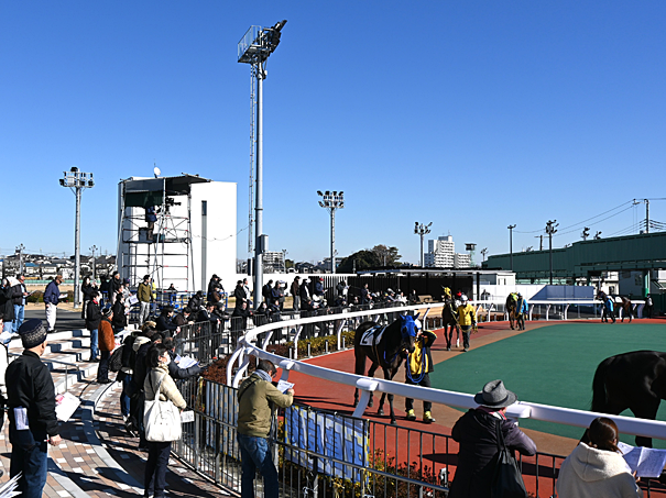 安納芋 焼き芋チャリティー販売会