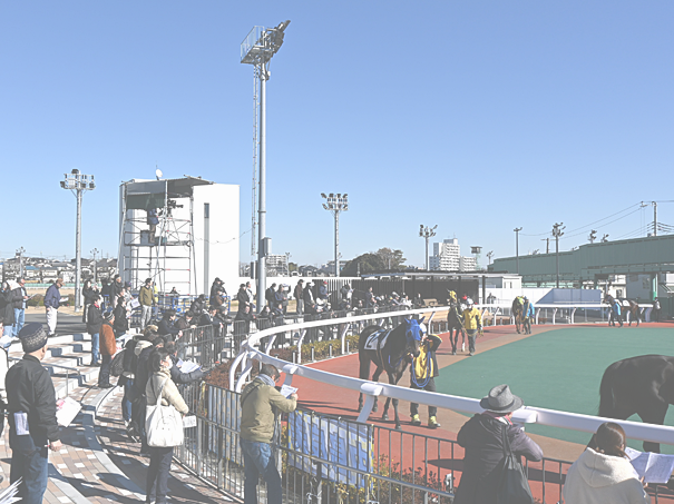 安納芋 焼き芋チャリティー販売会