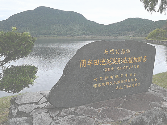 ふるさと交流の旅