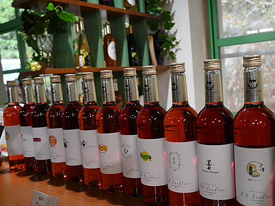 ふるさと交流の旅