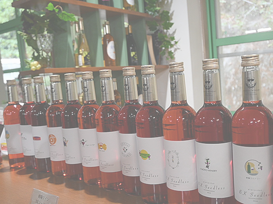 ふるさと交流の旅